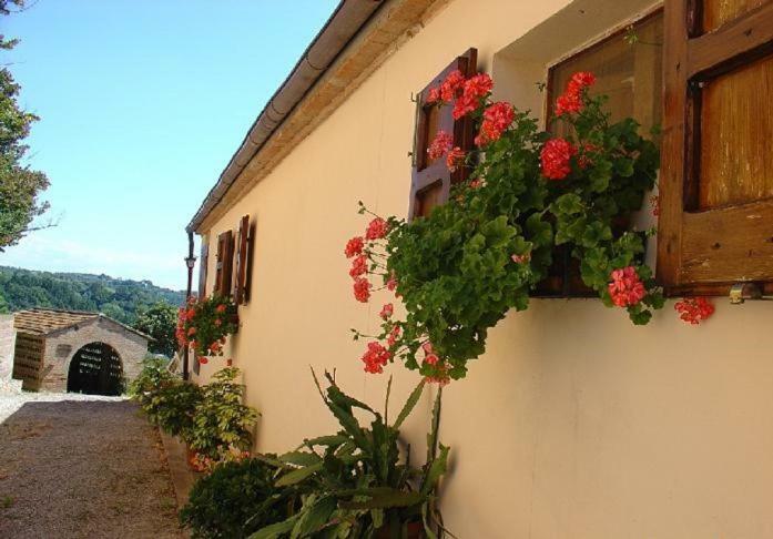 Fattoria Casanova Villa Palaia Ngoại thất bức ảnh