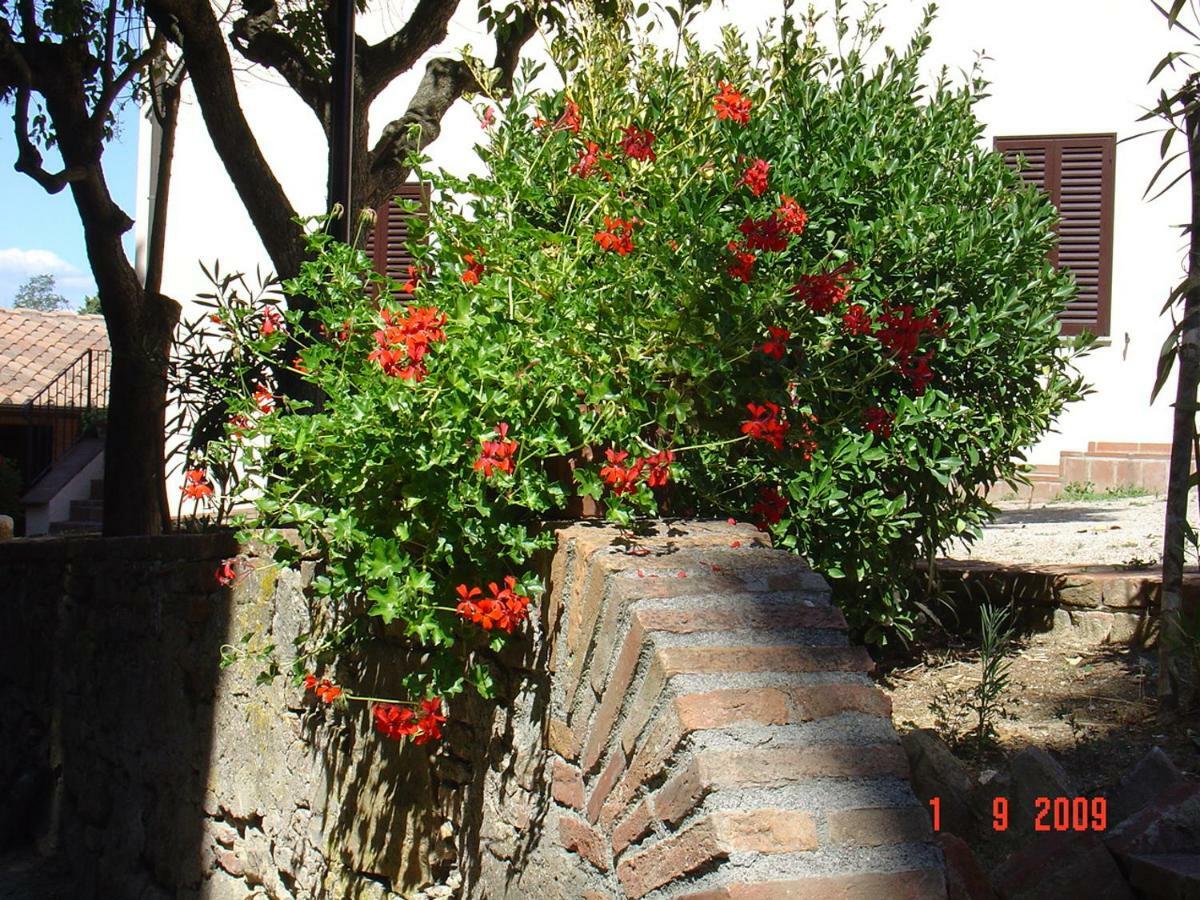 Fattoria Casanova Villa Palaia Ngoại thất bức ảnh