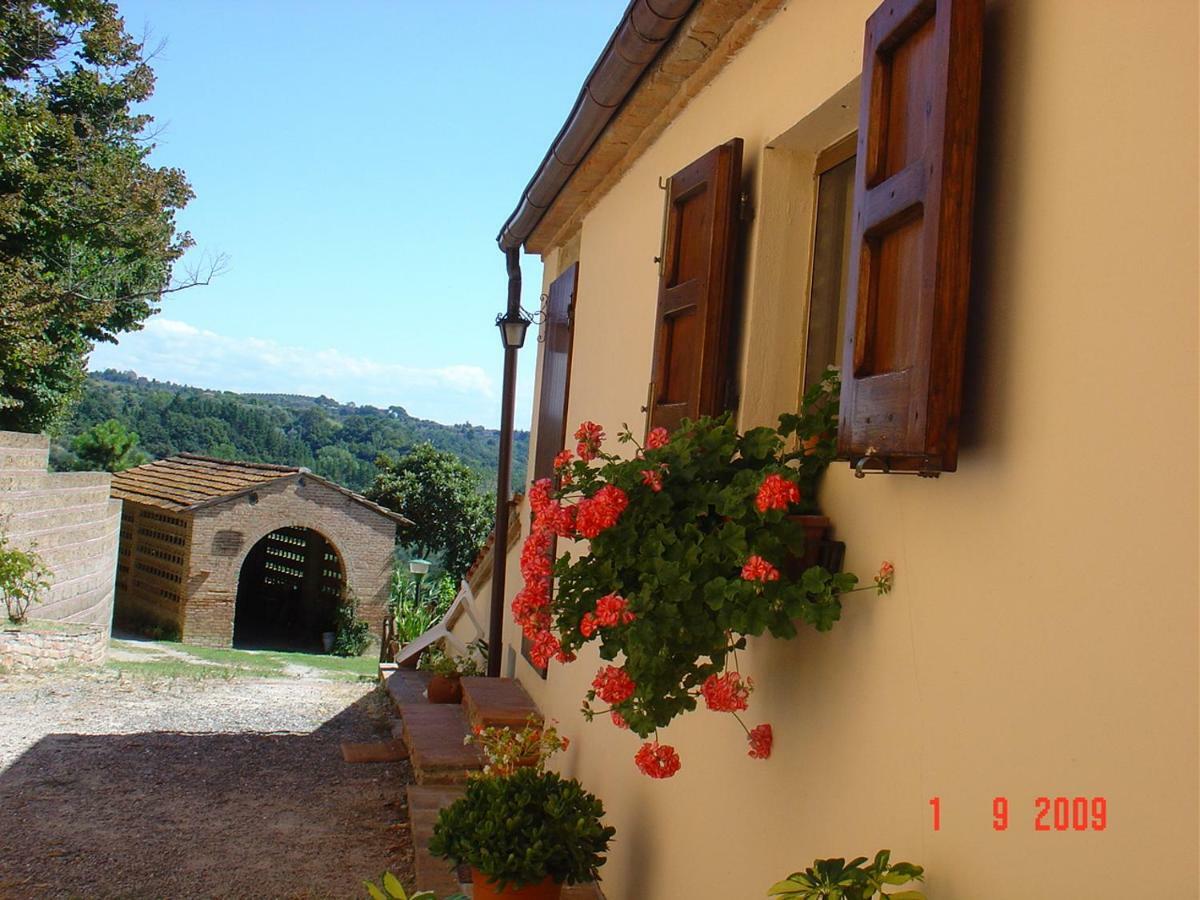 Fattoria Casanova Villa Palaia Ngoại thất bức ảnh